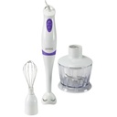 ROYALTY LINE MIXEUR 3EN1 PLONGEANT AVEC ACCESSOIRES 250W