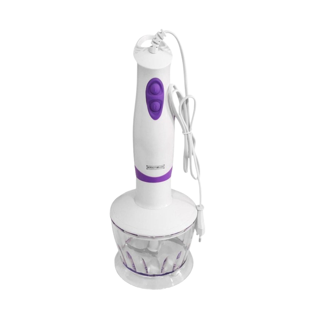ROYALTY LINE MIXEUR 3EN1 PLONGEANT AVEC ACCESSOIRES 250W