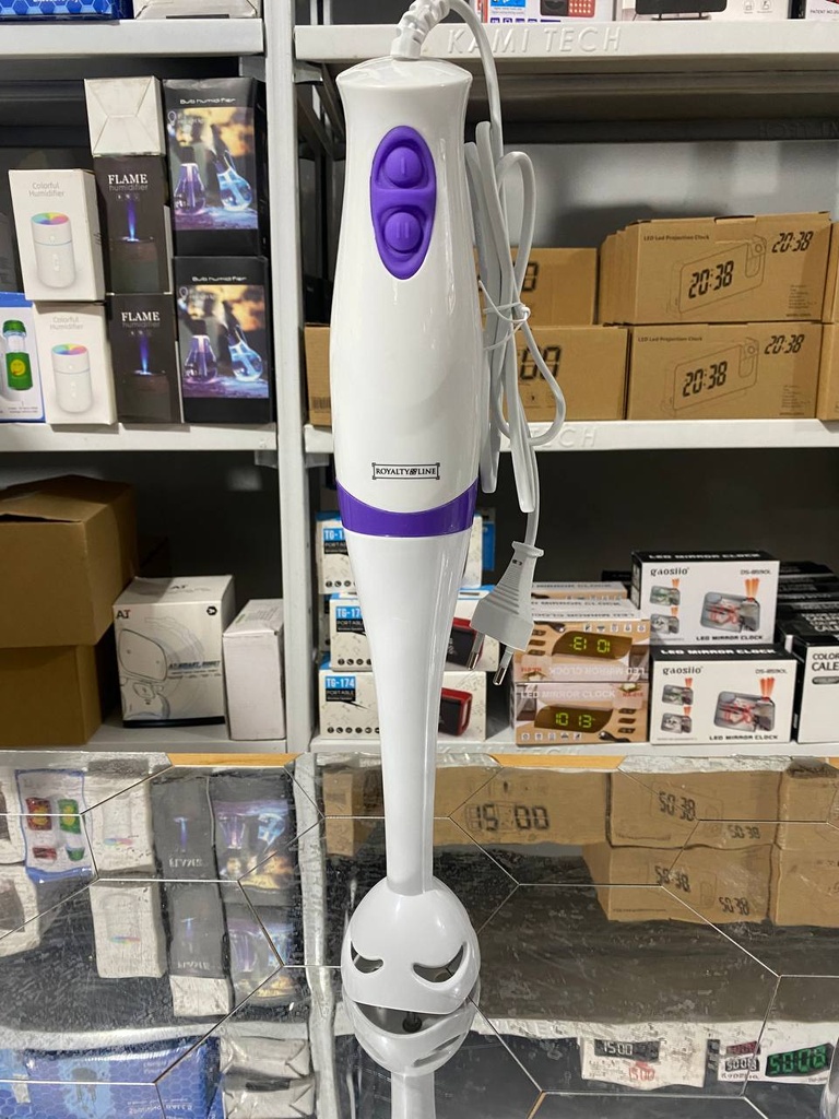 ROYALTY LINE MIXEUR 3EN1 PLONGEANT AVEC ACCESSOIRES 250W