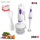 ROYALTY LINE MIXEUR 3EN1 PLONGEANT AVEC ACCESSOIRES 250W
